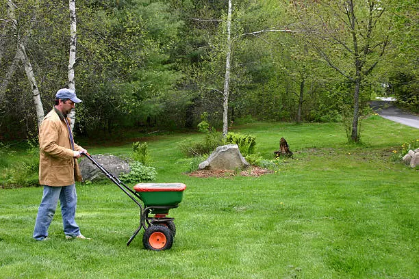 Dependable Lawn Fertilization in Everett, WA