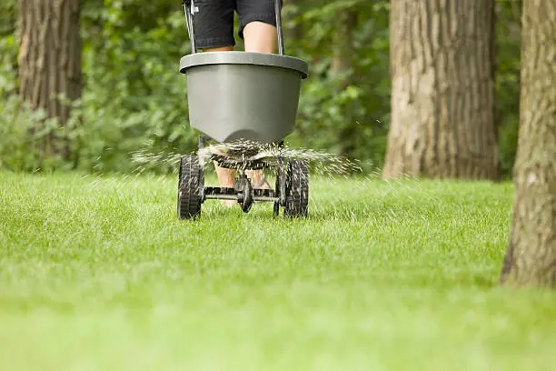 Lawn Fertilization in Everett, WA