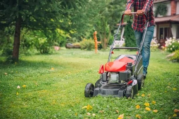 Lawn Mowing Everett, WA