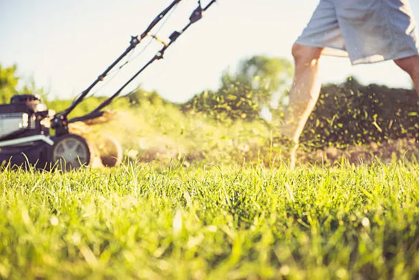 Lawn Mowing in Everett, WA