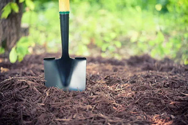 Mulching in Everett, WA