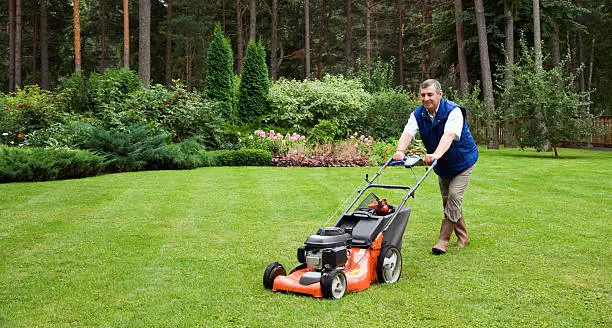 Reliable Lawn Mowing in Everett, WA