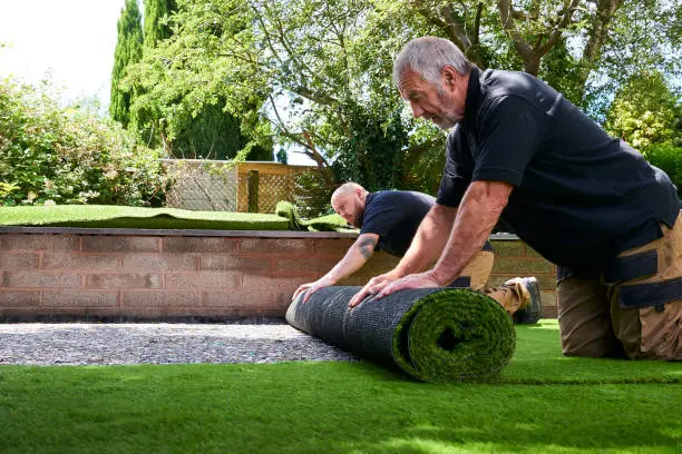 Reliable Sod Installation in Everett, WA