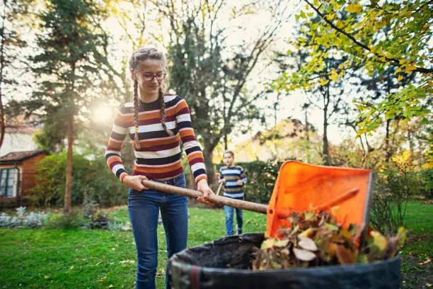 Reliable Yard Cleanup in Everett, WA