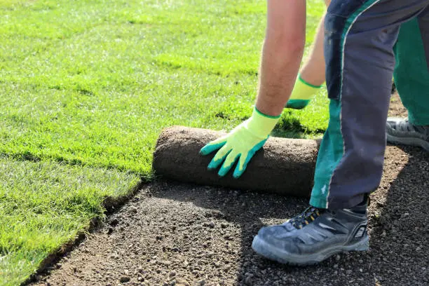 Sod Installation Everett, WA