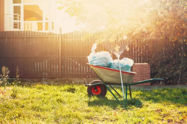 Yard Cleanup in Everett, WA